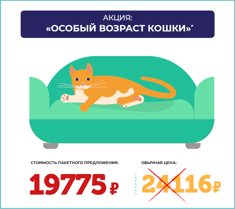 Программа диспансеризации “Особый возраст кошки”