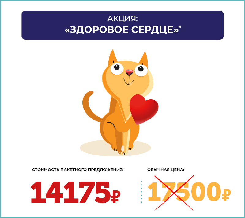 Программа “Здоровое сердце”