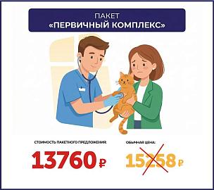Пакет «Первичный комплекс»