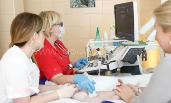 ЭХО сердца в ветеринарной клинике «в Добрые Руки»
