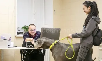 Диагностика