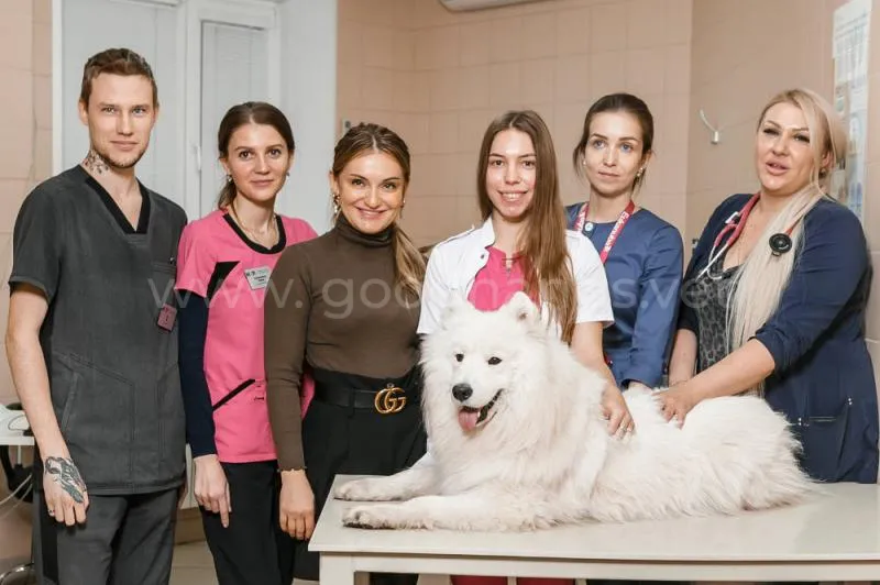 Фотогалерея Наши врачи